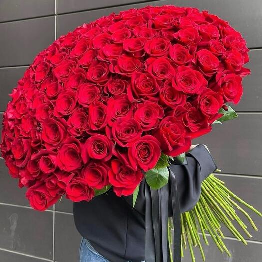 101 премиум Роза 