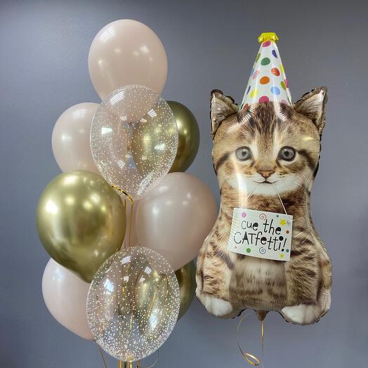 Шары с котиком (58)