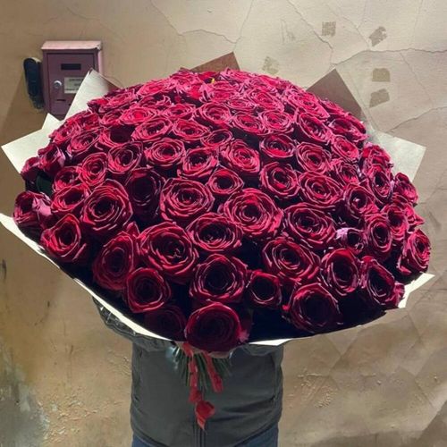 101 роза красная в крафт упаковке