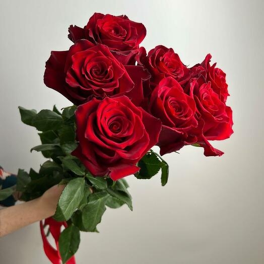 Премиум роза Explorer