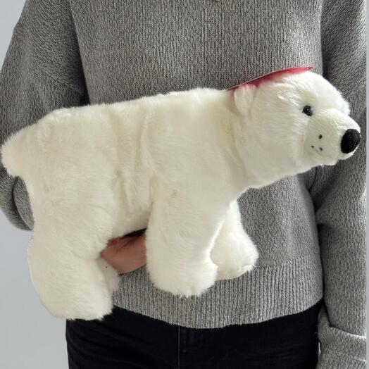 Медведь Полярный