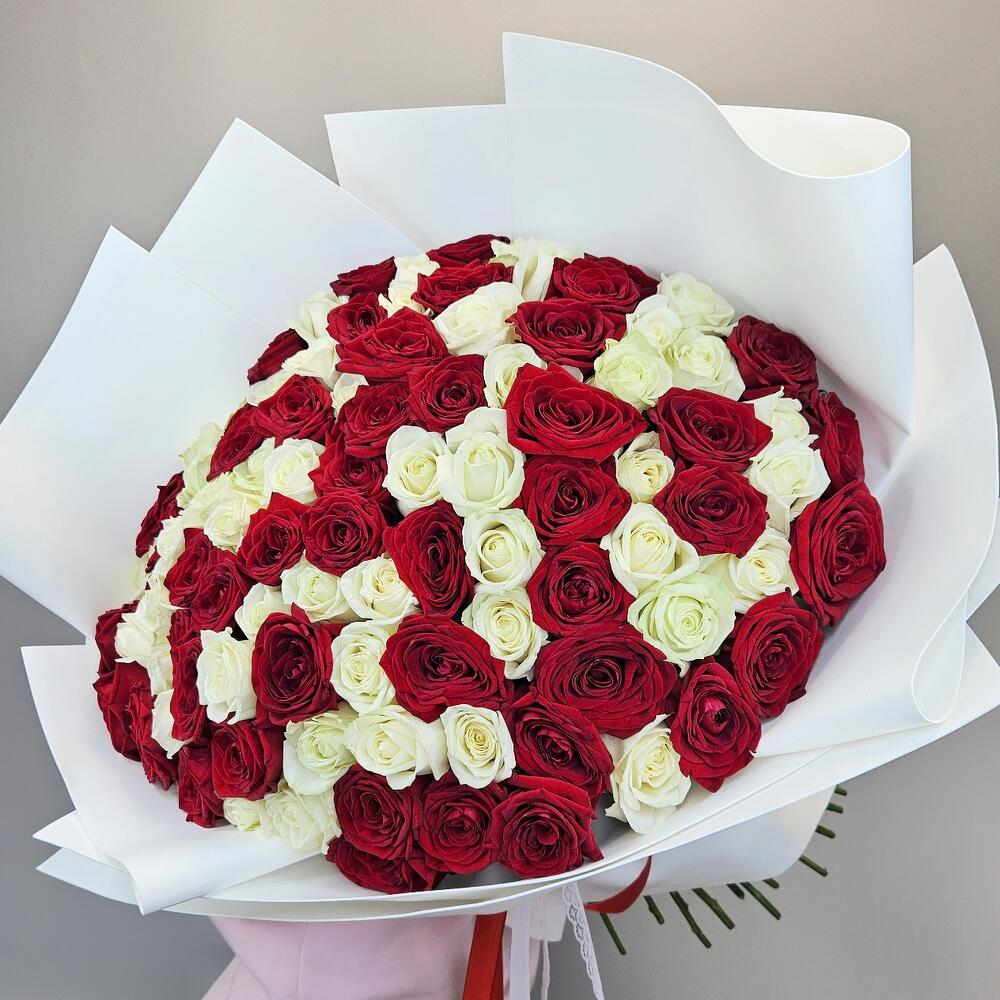 101 белая и красная розы Россия в упаковке