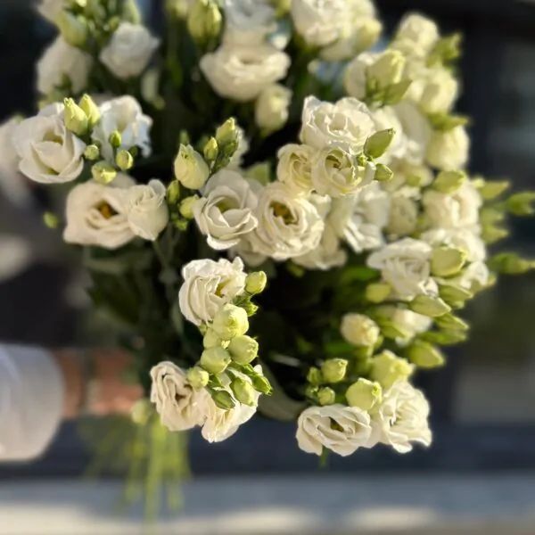 Монобукет из белой сортовой эустомы!