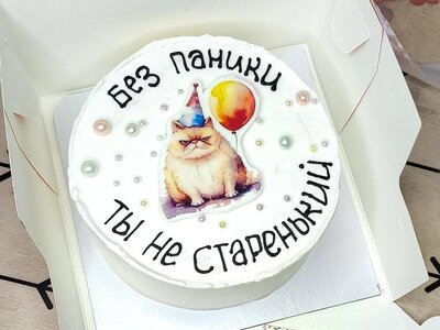 Бенто торт Без паники, ты не старенький Кот с шариком
