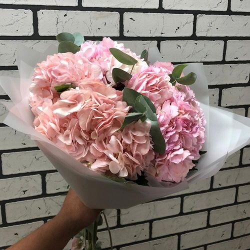 5 гортензий с эвкалиптом