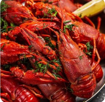 Раки-подростки M в ведре