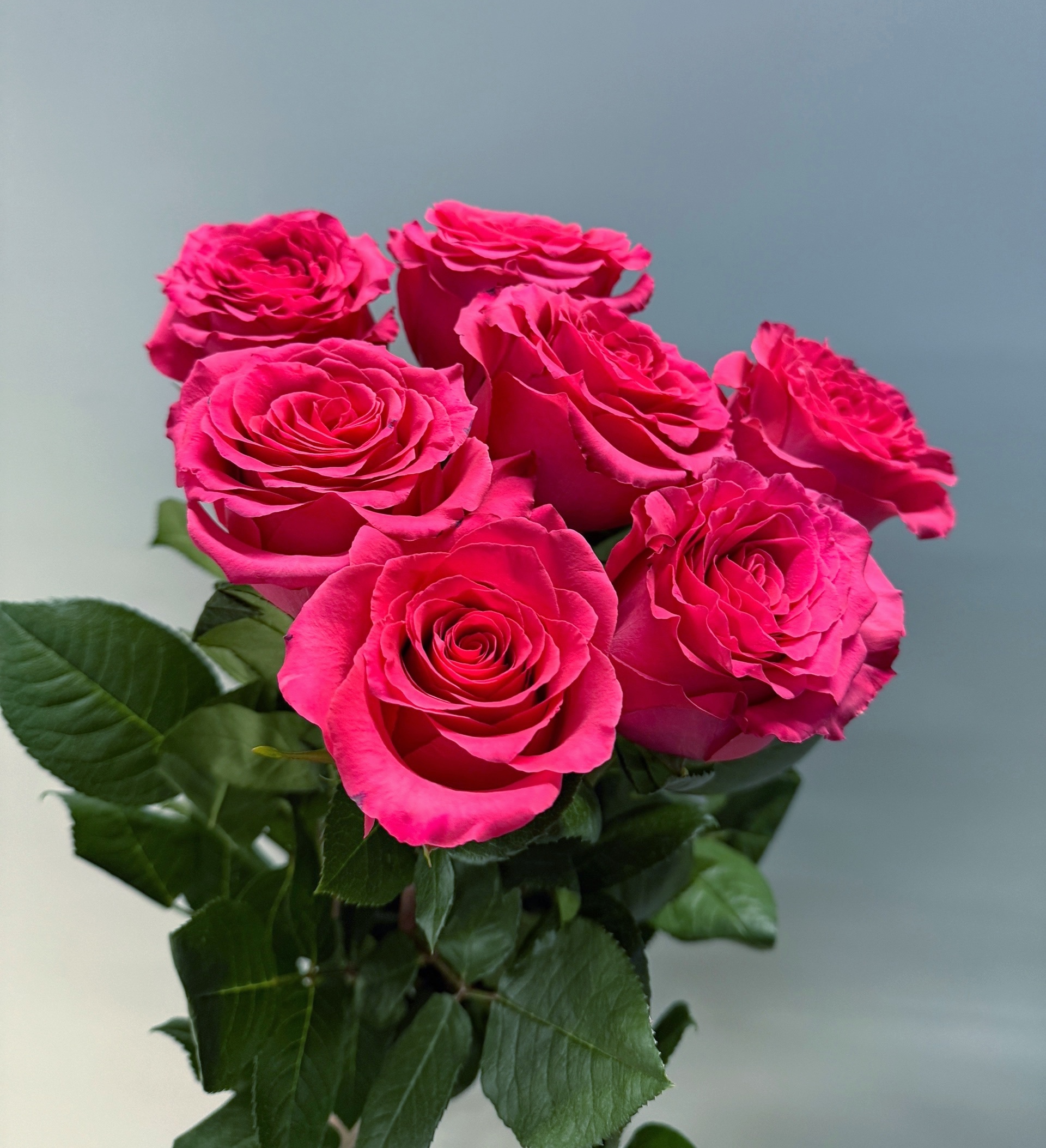 7 малиновых роз