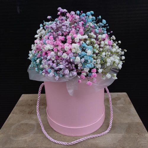 Гипсофила в коробке в студию