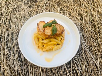 Макароны в сырном соусе с куриной грудкой