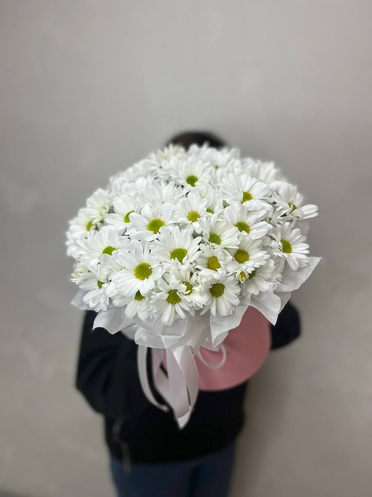 Ромашковый сюрприз L