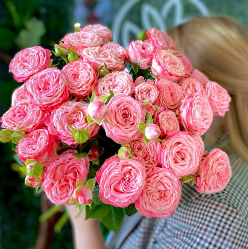 Букет из 11 пионовидной кустовой розы