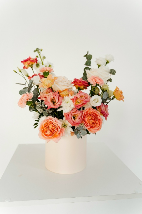 Письма Джульете