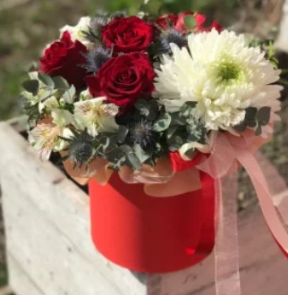 Яркие моменты