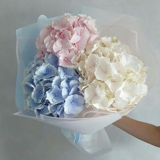 Букет из разноцветных гортензий 3 шт