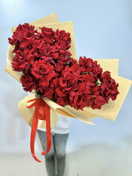 Софи Лорен XL