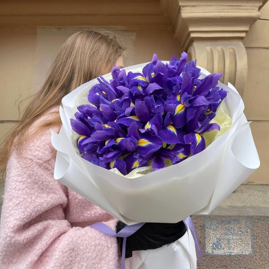 15 ярких ирисов в белом оформлении