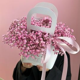 Розовая сумочка гипсофилы