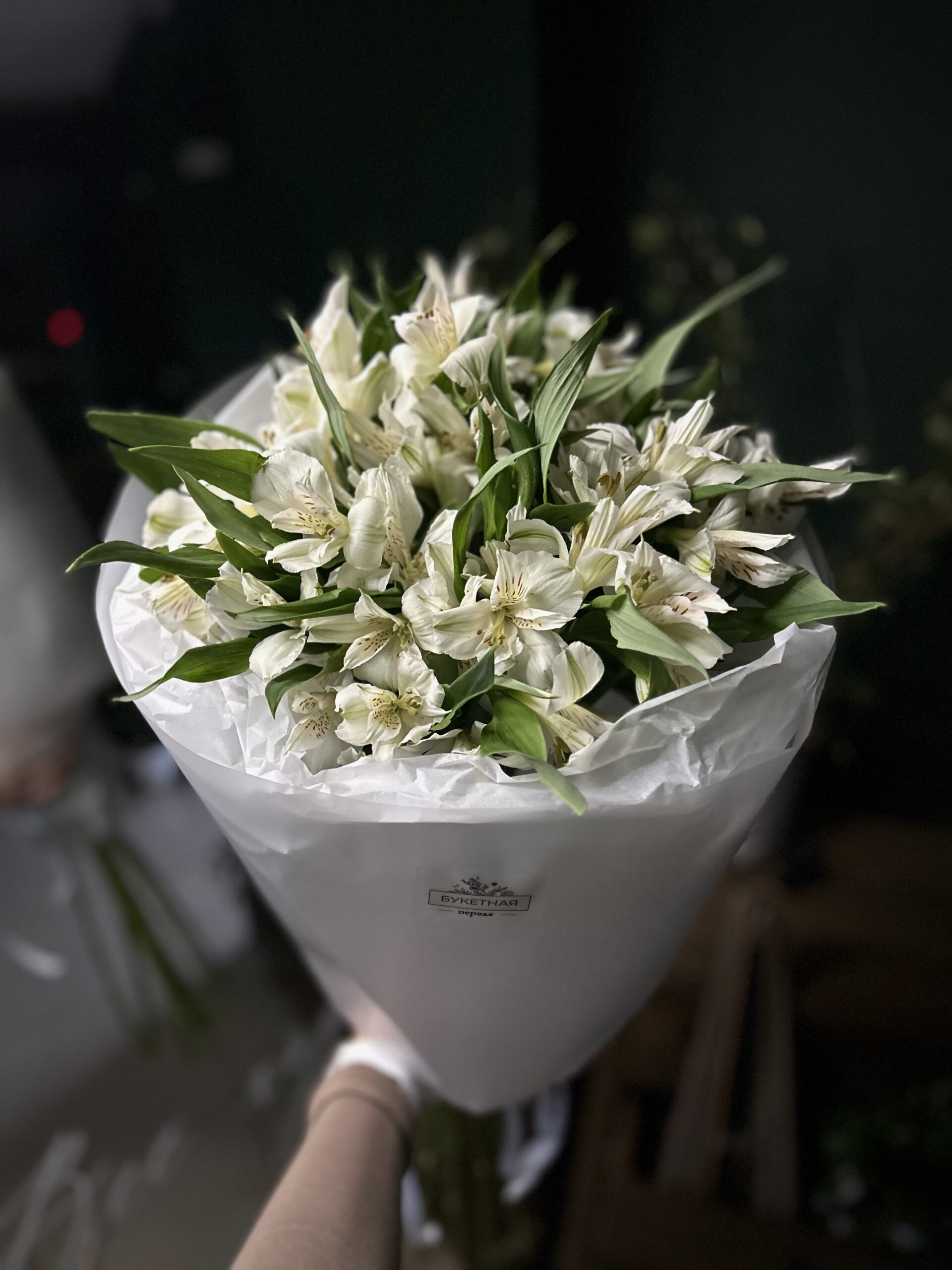 Праздник света