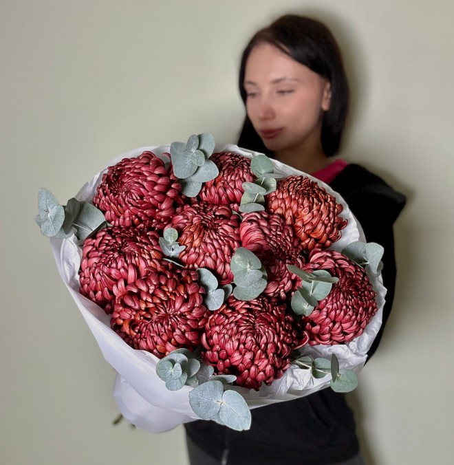 Осенние, трендовые хризантемы «бигуди»