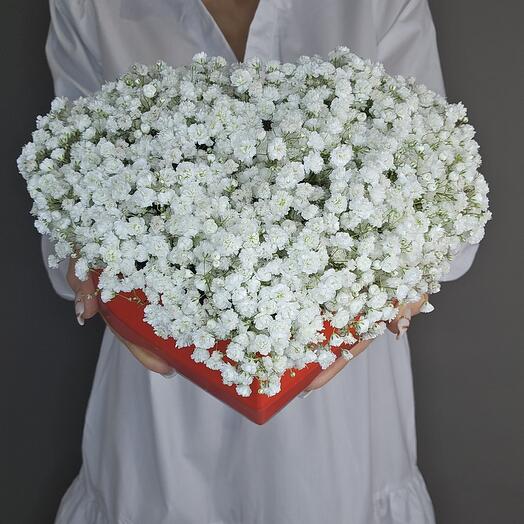 Коллекция "Любовь" цветы в коробке сердце "Стрелы Амура"