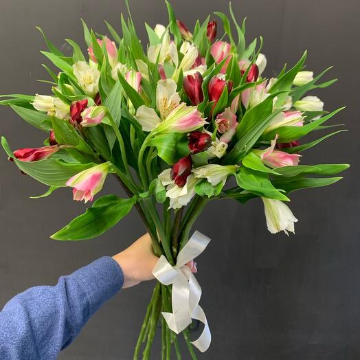 Альстромерия