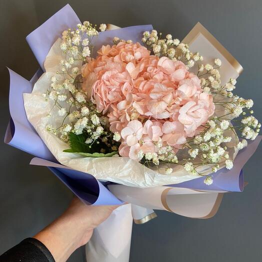 Розовая гортензия с гипсофилой