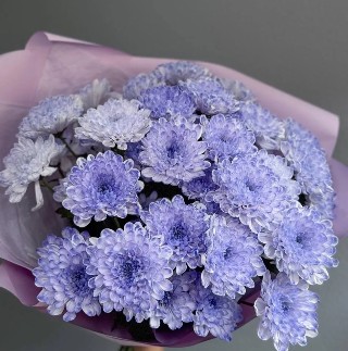 Акция "Черничный джем"