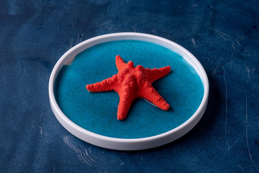 Морская звезда