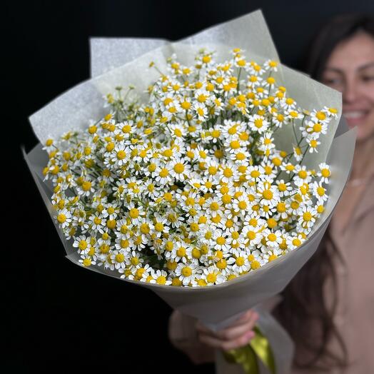 Ромашка 17 штук