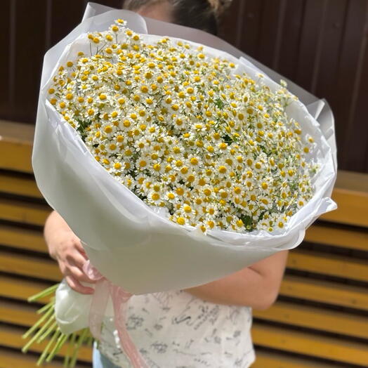 Объемный букет ромашек, полевые ромашки