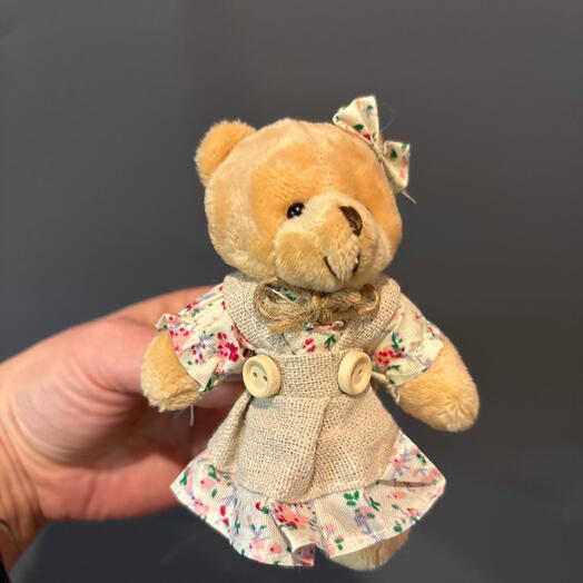 Мишка в платье