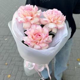 Моно Эсперанса