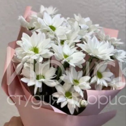 Ромашковый мини букет