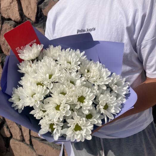 5 хризантем в упаковке с лентой