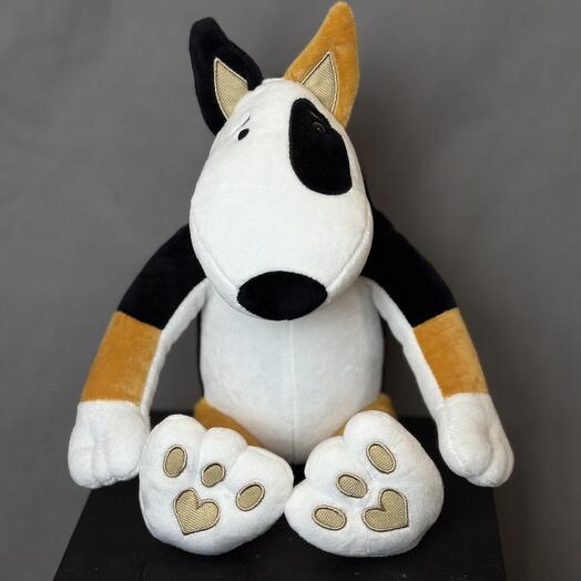 Пес рыжее ухо