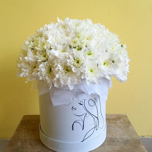 Огромная коробка хризантем