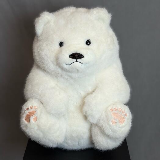 Белый медвежонок 