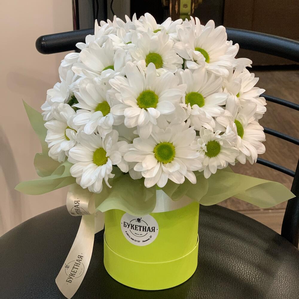 Ромашковая полянка