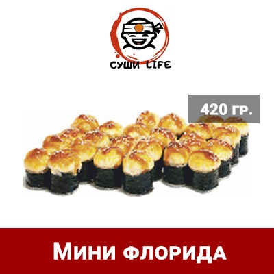 Мини флорида