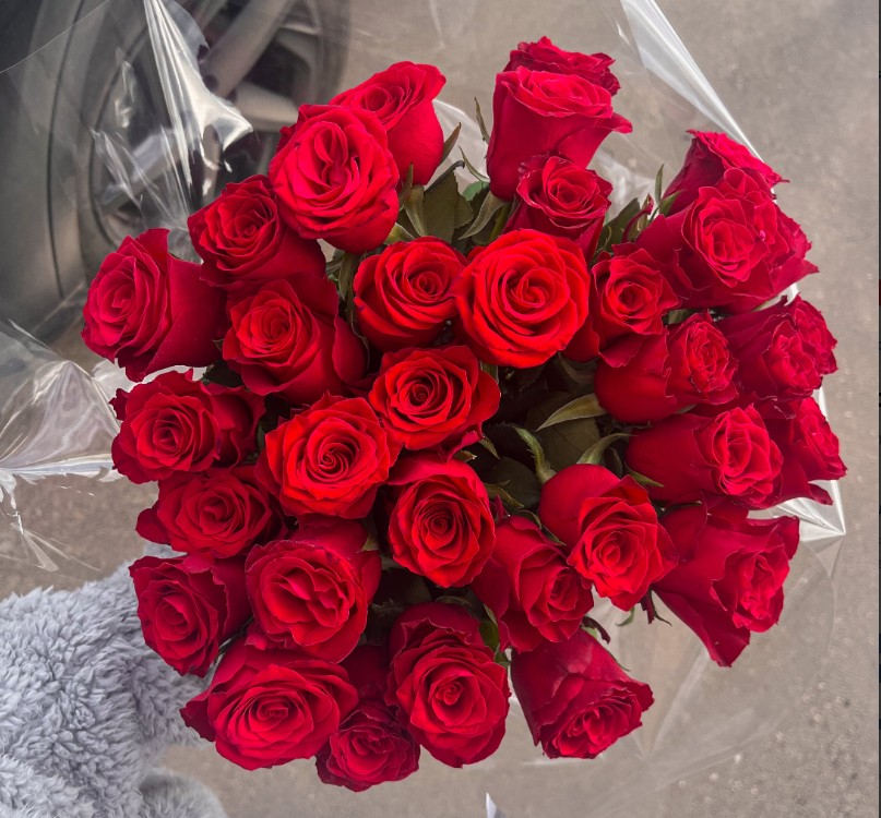 33 Бордовые розы 50 см