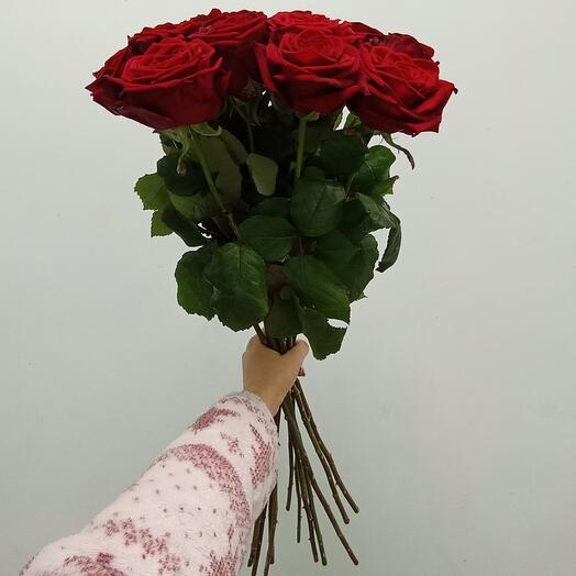 19 красных роз 50см