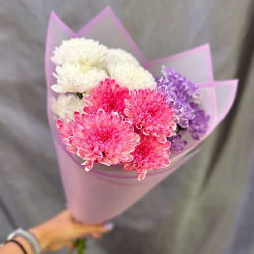 Букет из трех разноцветных хризантем: белый, розовый, фиолетовый (1717)