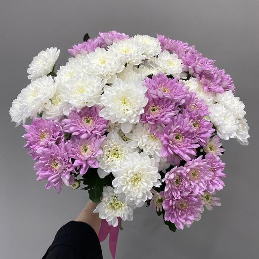 Микс из 11 кустовых хризантем