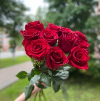 Букет из 11 алых роз