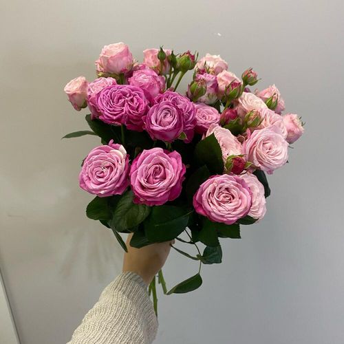 Букет красивых пионовидных роз