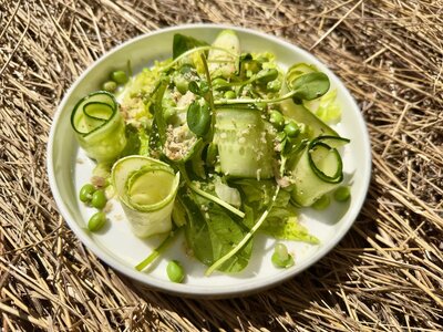 Зеленый салат