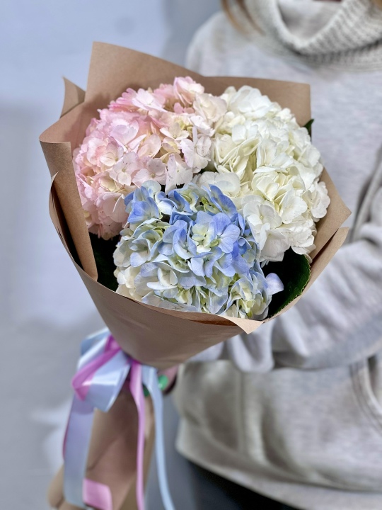 Моно из гортензий