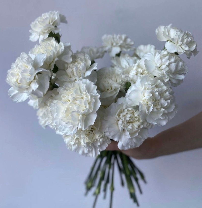 Букет Невесты из диантусов