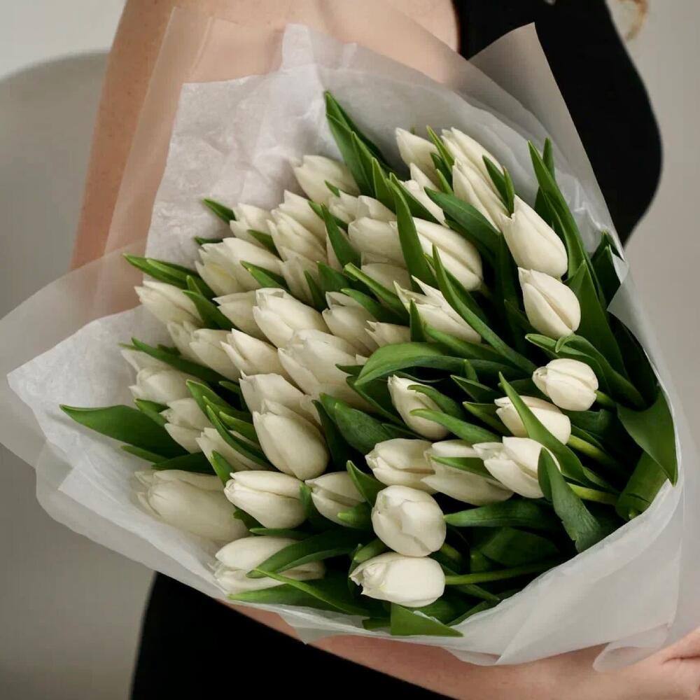51 белый тюльпан