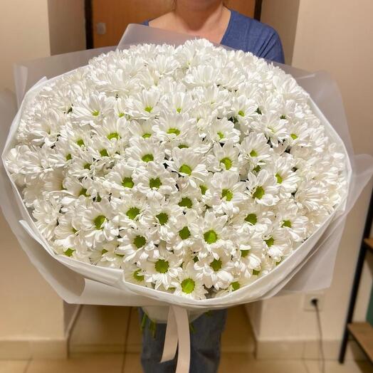 25 хризантем